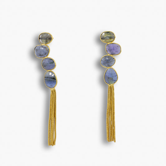 Labradorite Tassel Earrings